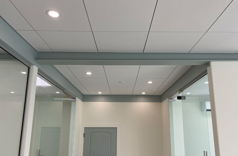 Chilliwack Fraser Valley Ceiling Systems